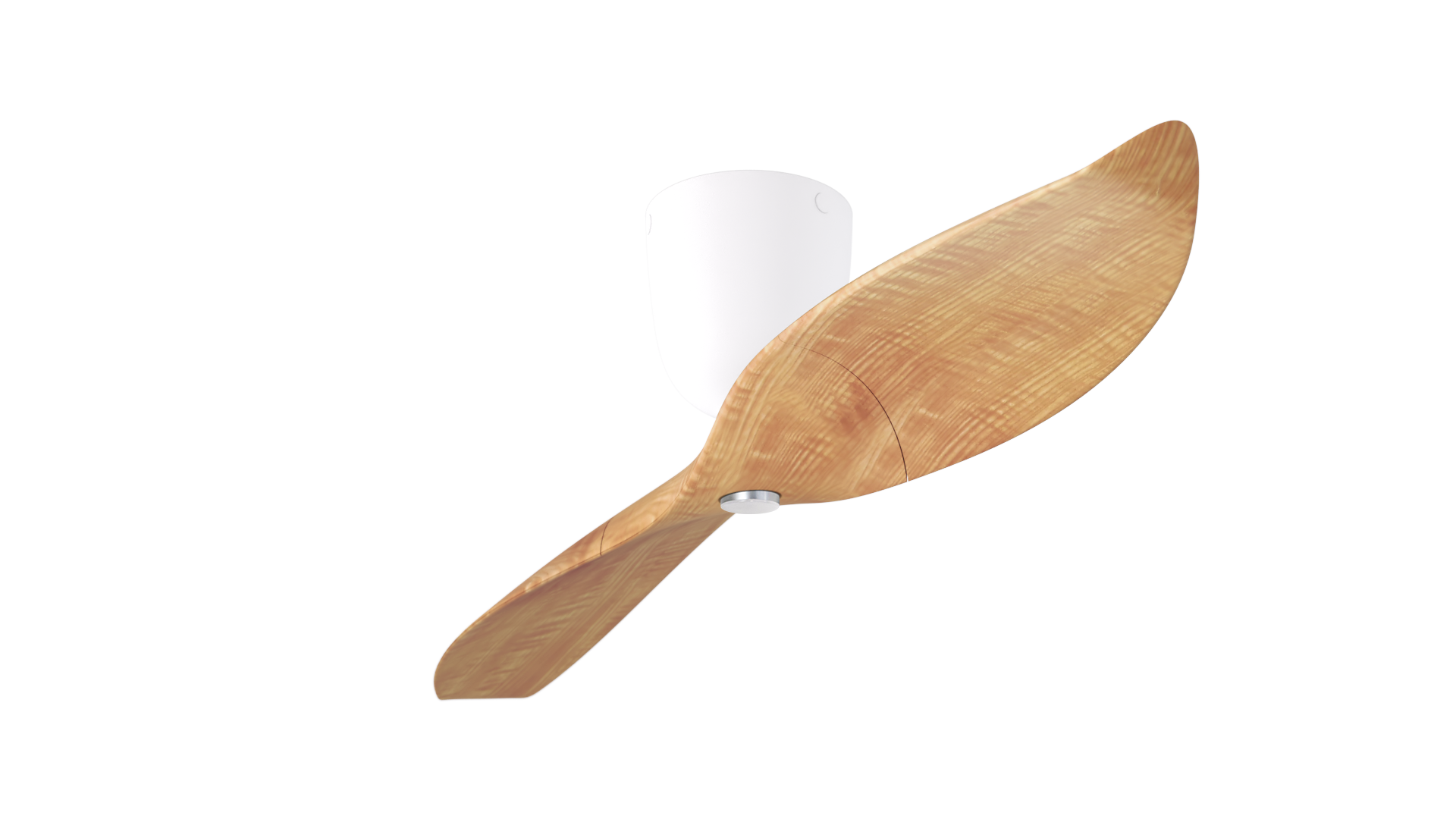 Aeratron AE+2 with Light in Light Wood Finish / White